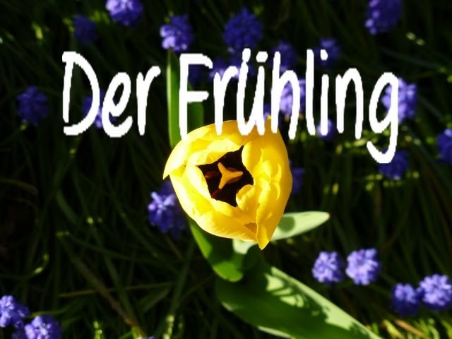 Video Aussprache von Frühling in Deutsch