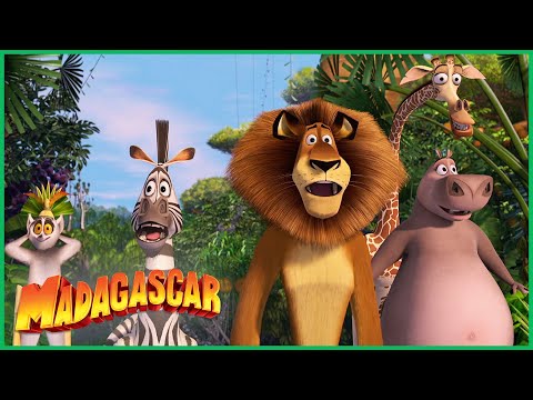 Capa de Madagascar | Bem-vindos a Madagascar | Desenhos Animados em Português