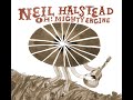 Neil Halstead - Baby, I Grew You a Beard