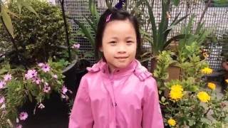 Stella chante : J'habite une maison citrouille