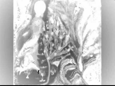 boogimyu-reduce caution