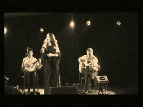 Gaivota- sandraCorreia