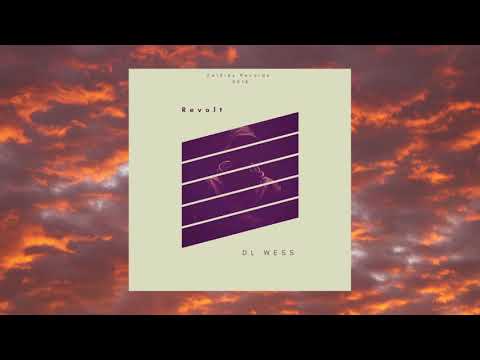 06 DL WESS - REVOLT ( VAPO & VINO EP)