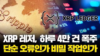 XRP 레저, 하루 4만 건 폭주…단순 오류인가 비밀 작업인가