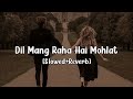 Dil Mang Raha Hai Mohlat Slowed Reverb Offical