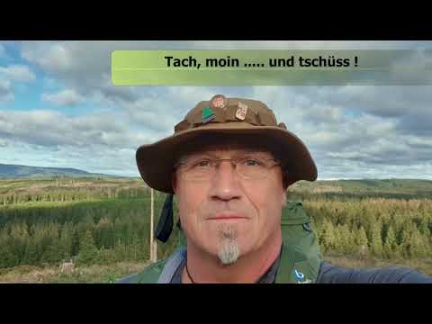 Harzer Hexen Stieg 2020......es läuft