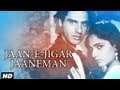Jaan E Jigar Jaaneman Full Song Aashiqui Kumar Sanu Anuradha Paudwal Rahul Roy Anu Agarwal
