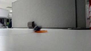 Penny racers... F yeah!