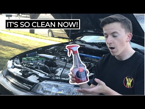 How to DEEP CLEAN your ENGINE BAY! | Using Griots Garage Products