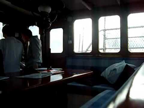 Terrorbunny DissTrack