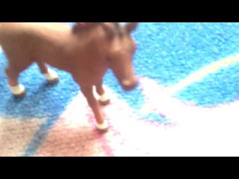 Die Fohlen - WG Trailer ❤️