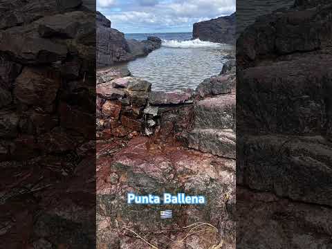 Punta Ballena / Departamento de Maldonado.