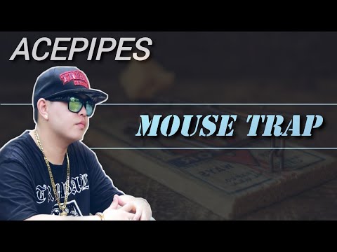 Acepipes - MOUSE TRAP