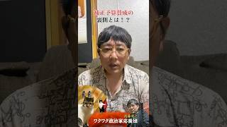 補正予算賛成の裏側とは？　国民民主党参議院議員はまぐち誠　　#国民民主党　#国会