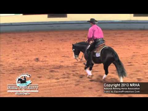 Chex From A Star ridden by Brad Giesbrecht - 2013 NRHA Futurity (Open Futurity First Go - Section 2)