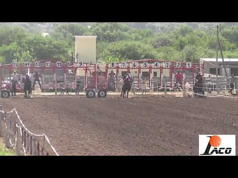 ENVIDIABLE HIPODROMO DON SOHAR CRUZ DEL EJE 27 3 2022
