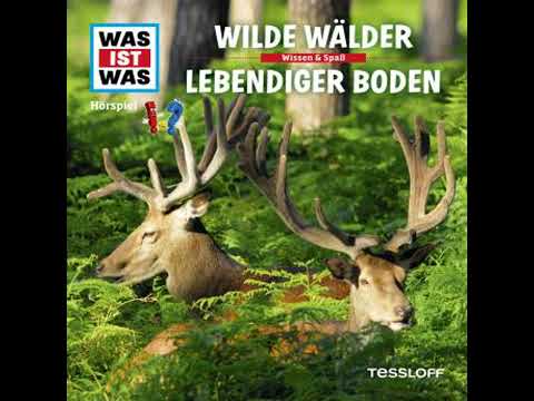 54: Wilde Wälder / Lebendiger Boden - Dr. Manfred Baur
