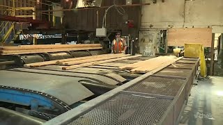 Minister says Canadian forestry crisis goes beyond Trump tariffs