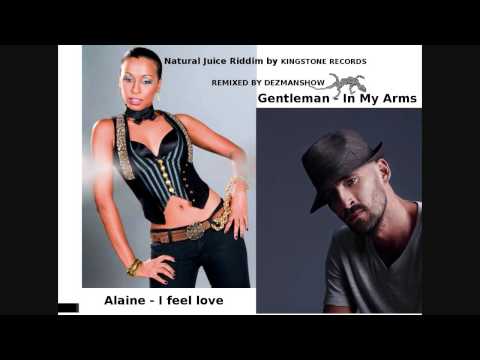 Gentleman ft Alaine - In My Arms - i feel love
