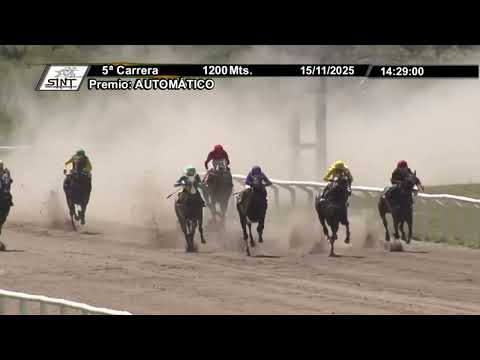 SINT COLONIA 251115 c05 - SIN RIESGO