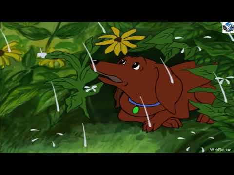 Hairy Maclary - Basketwork