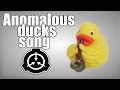 Anomalous ducks song 