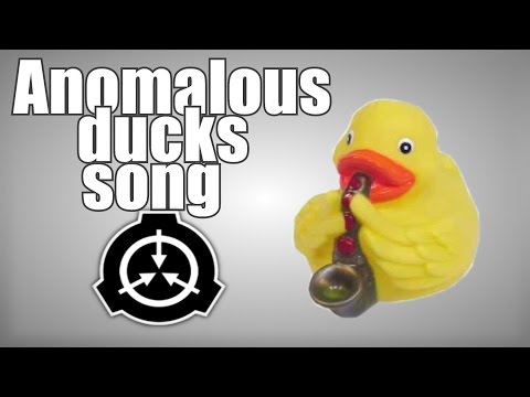 Anomalous ducks song