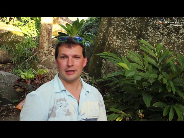 Video - Image - Abwechslungsreicher Traumurlaub