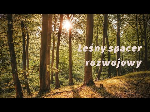 Leśny spacer rozwojowy