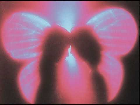 Dedublüman x Can Kazaz - Bunca Yıl (slowed x reverb)