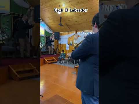Tú Eres Mi Siervo - La Paz de Cristo