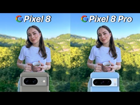 Google Pixel 8 VS Google Pixel 8 Pro Camera Test Comparison