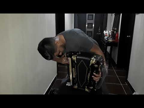 Mi nuevo acordeón Boppola