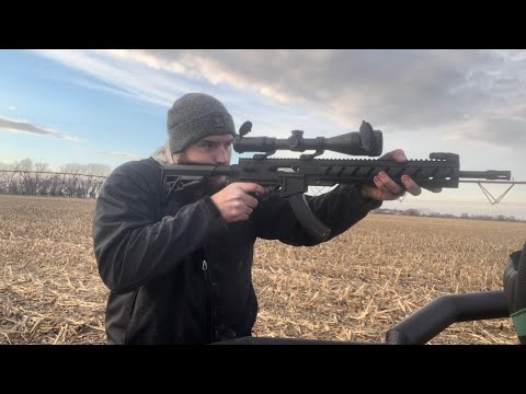 Honest Opinions About The Ruger 10/22 Takedown | Survival