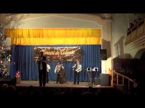 Marius Ciprian Pop - Trei pastori se intalnira - Concert de Colinde 2013 - procodlea.ro