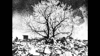 The Bevis Frond - God Speed You To Earth