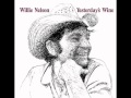 Willie Nelson - It's Not For Me to Understand