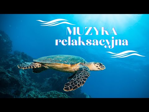 🌊Muzyka relaksacyjna | W głębinach oceanu | Music relaxation