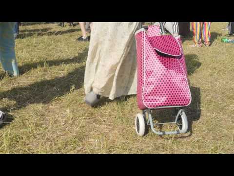 Granny smashing at Balter Festival