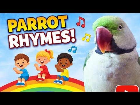 😱 Parrot Mini Vlog | Mithu Ki Aaj Ki Masti 🦜 #Parrot#Mithu#ParrotMiniVlog