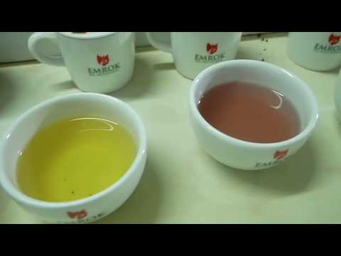 Emrok Tea Process