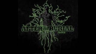 AFTER THE BURIAL - Cursing Akhenaten (HQ)