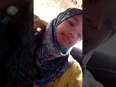 Animal Sex - YouTube