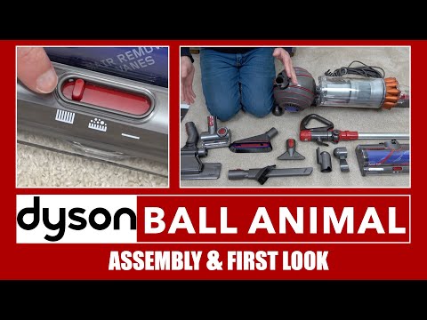 Dyson Ball Animal Multifloor Vacuum Cleaner Assembly & First Look