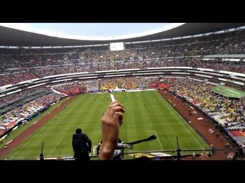 "La REBEL, dale pumas dale dale oh" Barra: La Rebel &bull; Club: Pumas