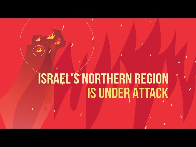 Israel's forests are in danger: 25,000 dunams have already been lost Youtube Video