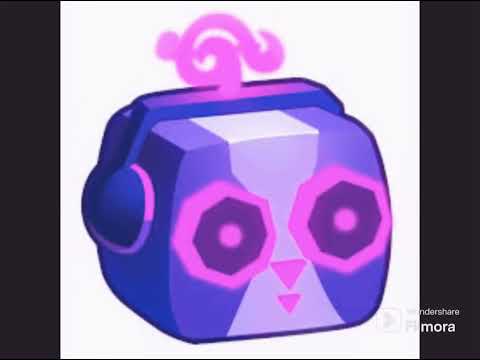 What fruit do you have