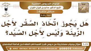 [2546 -3022] هل يجوز اتخاذ الصقر لأجل الزينة وليس لأجل الصيد؟ - الشيخ صالح الفوزان image