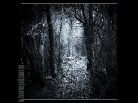 Dark forest Deidriim Welcome To My Forest 25 10 2014 Illuminight