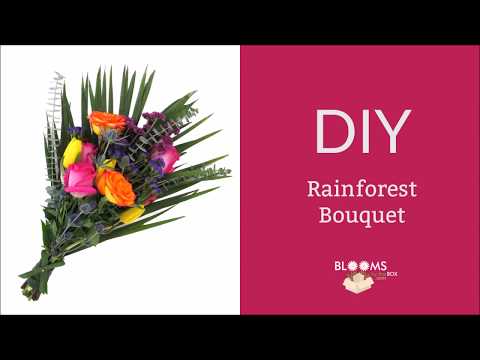 download lagu mp3 mp4 Jungle Bouquet, download lagu Jungle Bouquet gratis, unduh video klip Jungle Bouquet